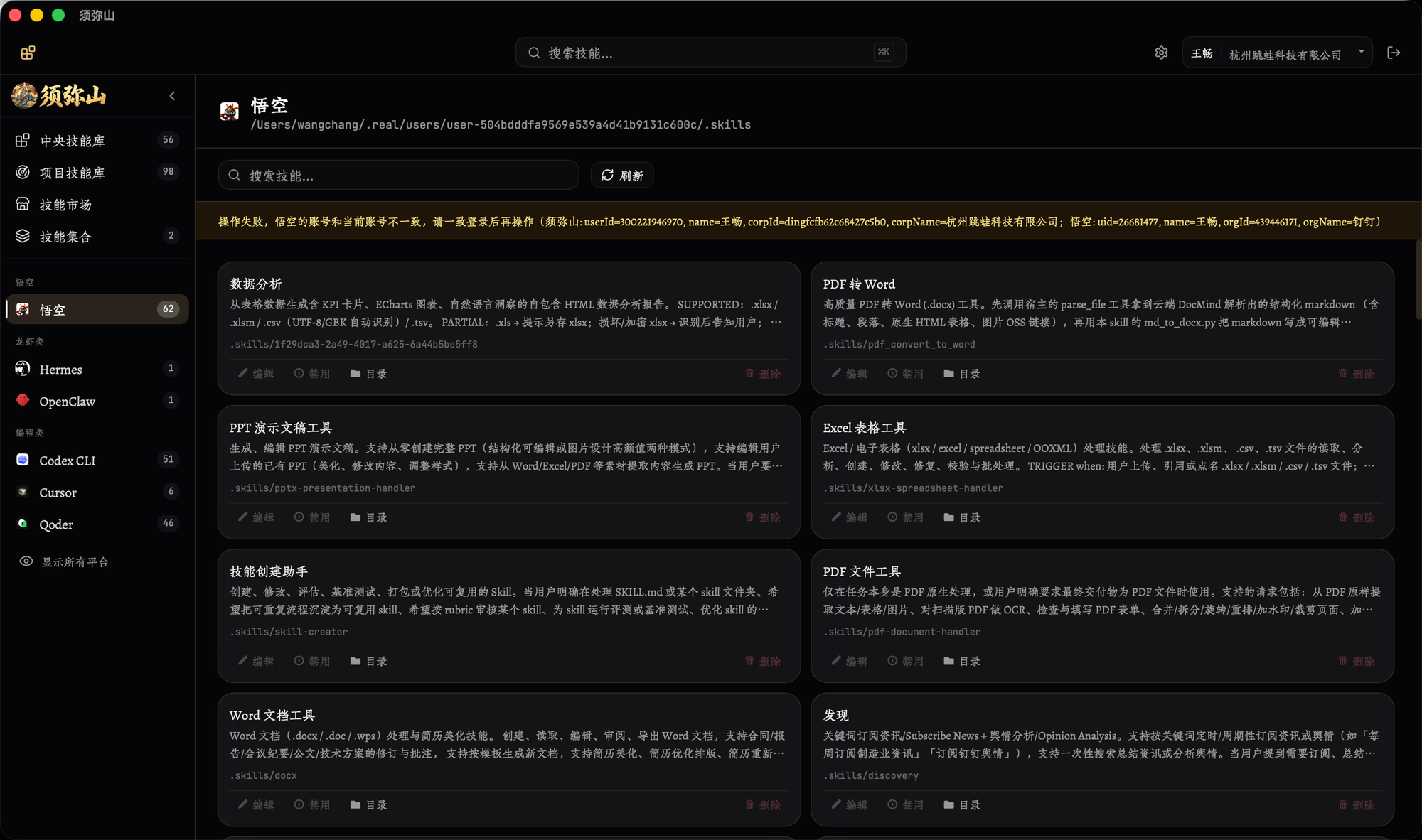 Qoder 平台视图